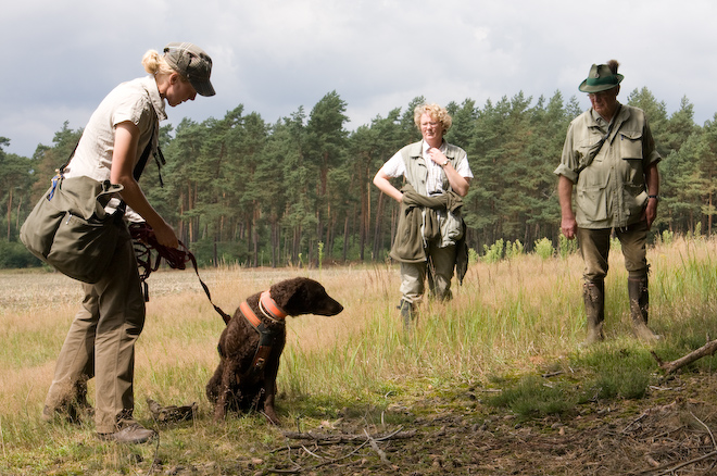 Foto: hunde-foto.net - Th. Eckhoff